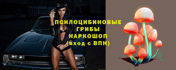 индика Бугульма