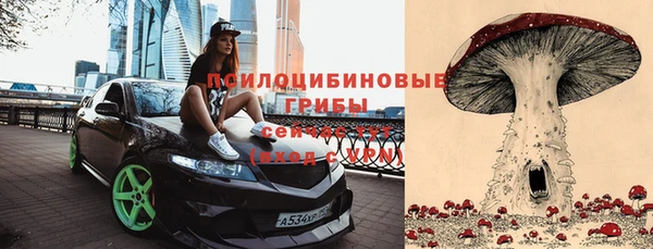 мет Богданович