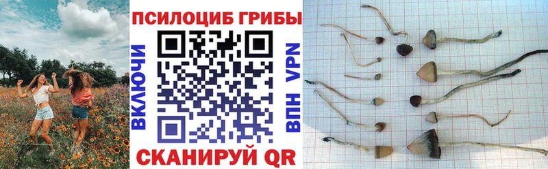 Псилоцибиновые грибы прущие грибы  нарко площадка состав  Губкинский 
